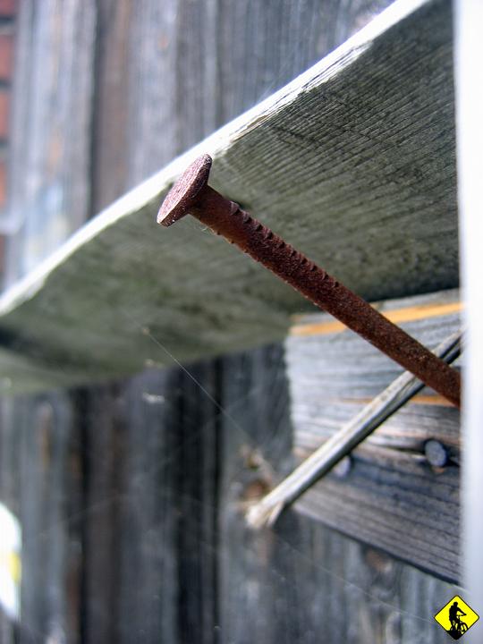 foto 021.jpg - Podjazd był na tyle wstrętny, że za łagodny na pchanie, a za stromy na jazdę. Dusił na całej długości na najmiększym przełożeniu. 470m w pionie na niecałych 4km!